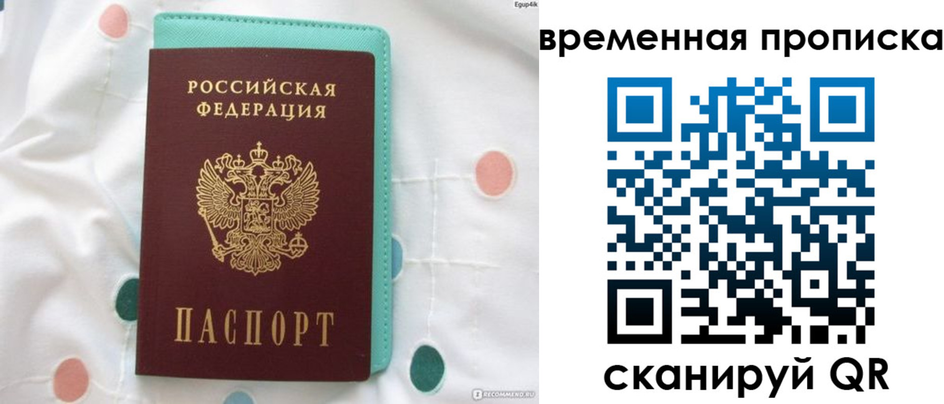 прописка поиск в Нижнекамске